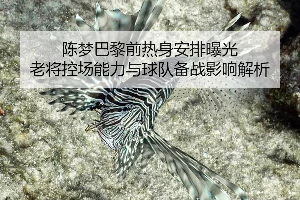 chen-meng-ba-li-qian-re-shen-an-pai-bao-guang-lao-jiang-kong-chang-neng-li-yu-qiu-dui-bei-zhan-ying-xiang-jie-xi-2-328.jpg